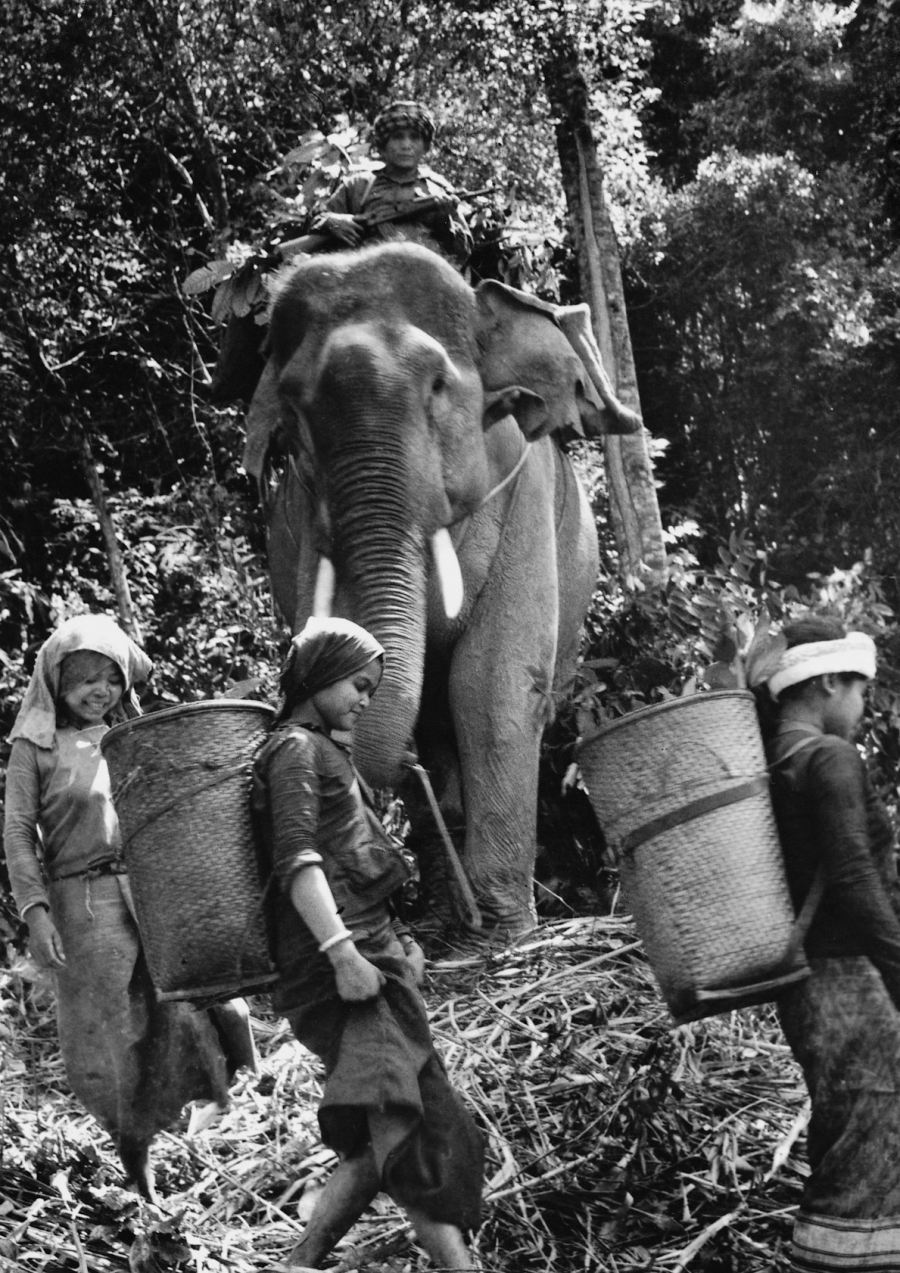 Laos guerrillas